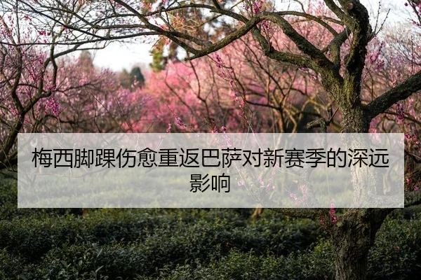 梅西脚踝伤愈重返巴萨对新赛季的深远影响