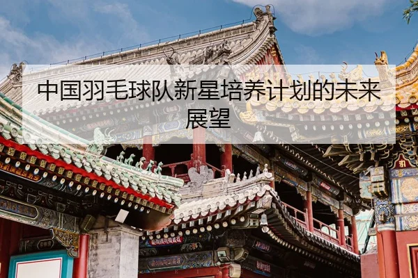 中国羽毛球队新星培养计划的未来展望